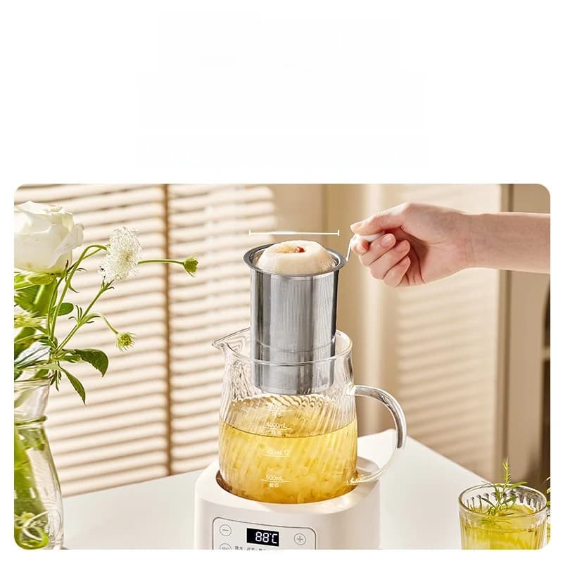סיר בריאות חשמלי מזכוכית עם בקרת טמפרטורה 1.2L