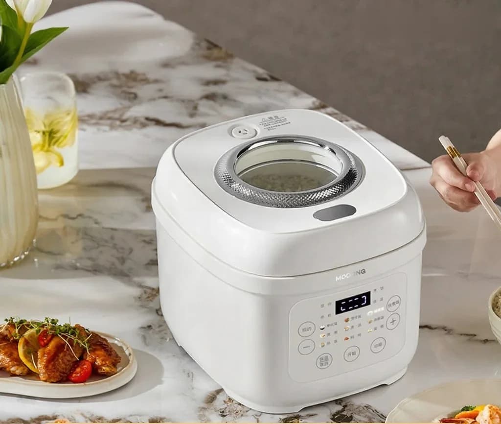 3L Electric Rice Cooker with Ceramic Inner Pot, 600W